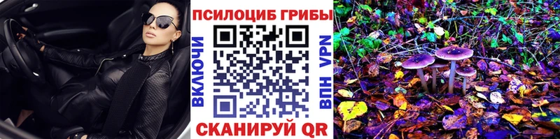 гидра как войти  Грязовец  Галлюциногенные грибы Cubensis 